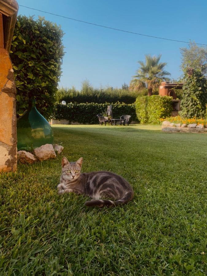 Il Sole Holiday home Casamassella